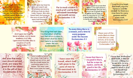 Descarga Bible Ecclesiastes – Versículos Bíblicos Gratis - Screenshot 9